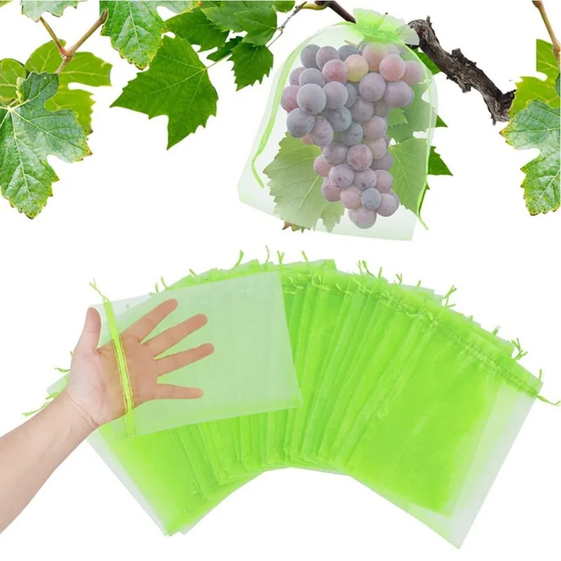 Mesh Net Bag - 50 Sacchetti a Rete per Protezione