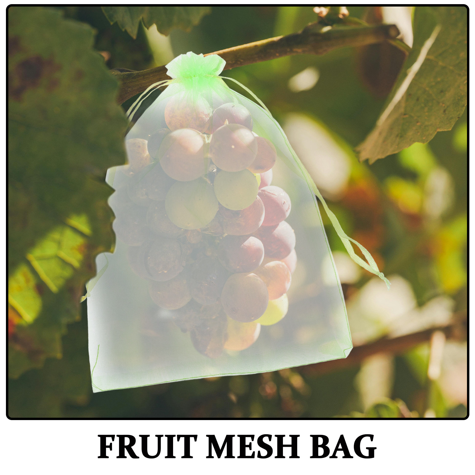 30 sacchetti riutilizzabili co - Mesh Net Bag recensione e prezzo