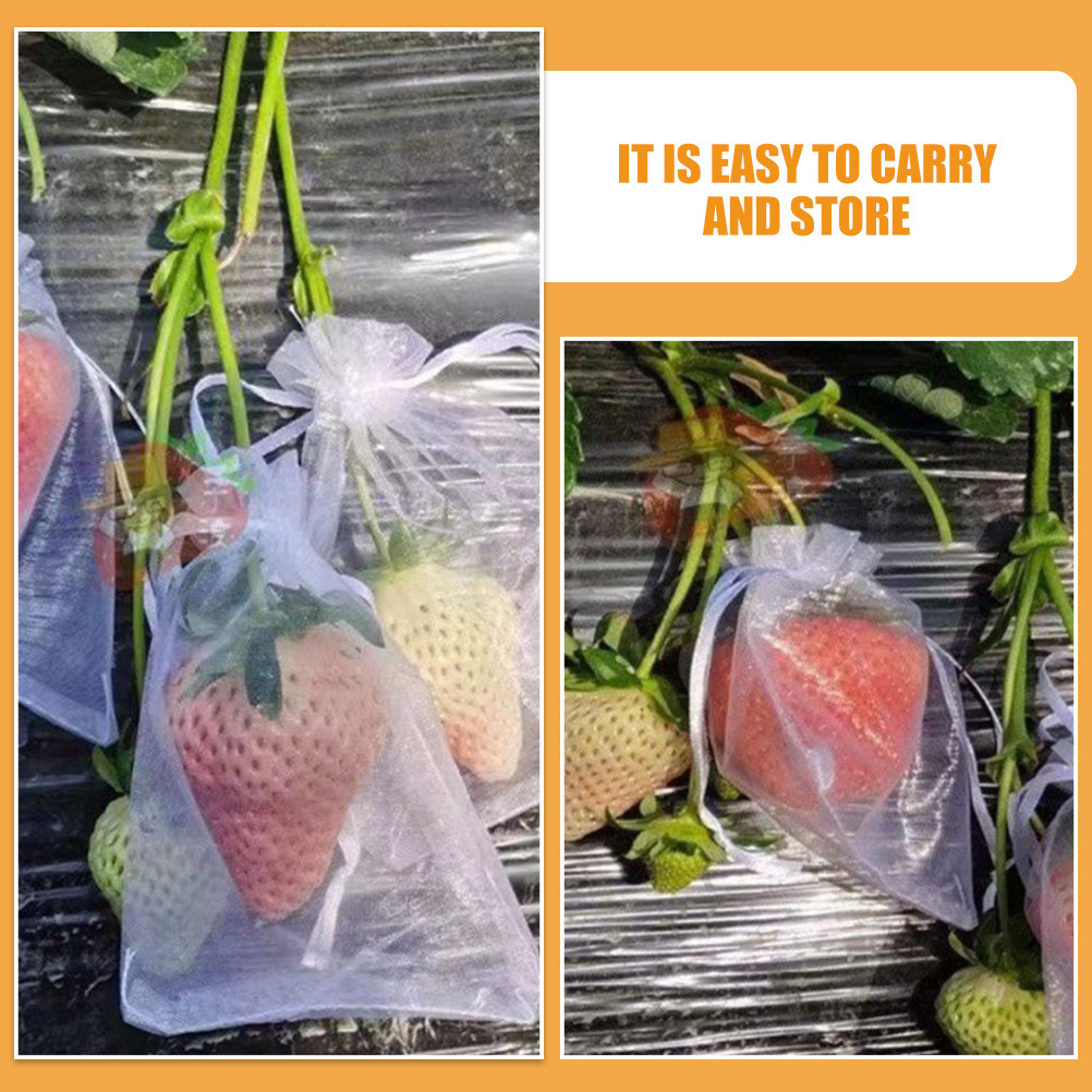 50 Sacchetti Protettivi per Fr - Mesh Net Bag recensione e prezzo