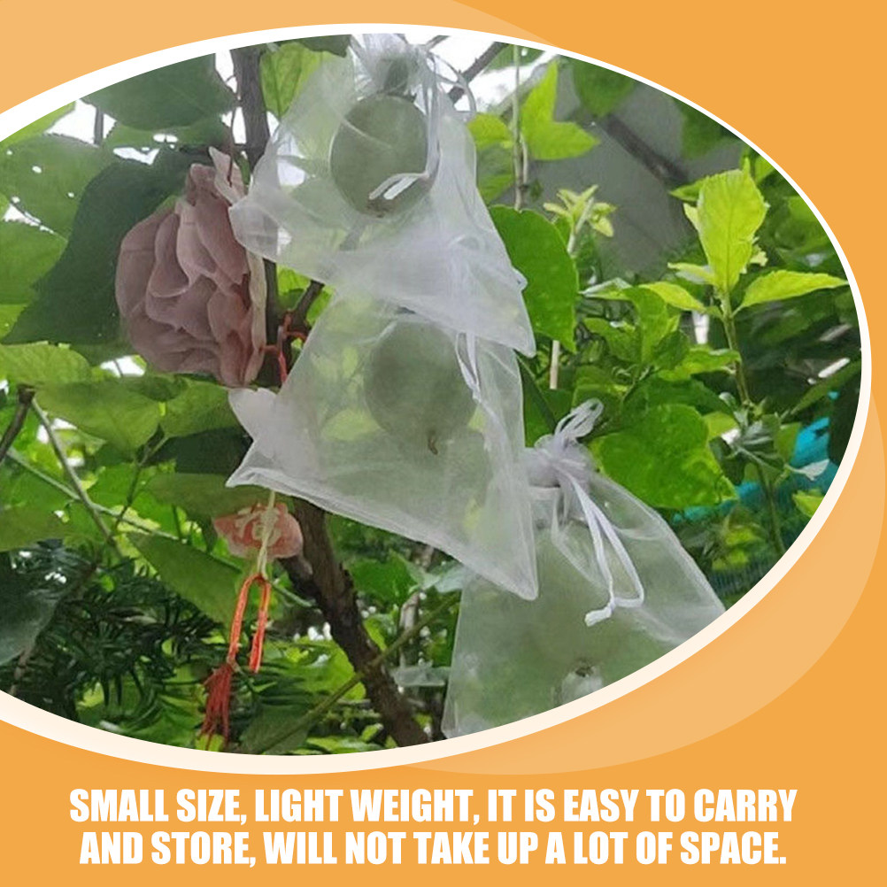 50 Sacchetti Protettivi per Fr - Mesh Net Bag recensione e prezzo